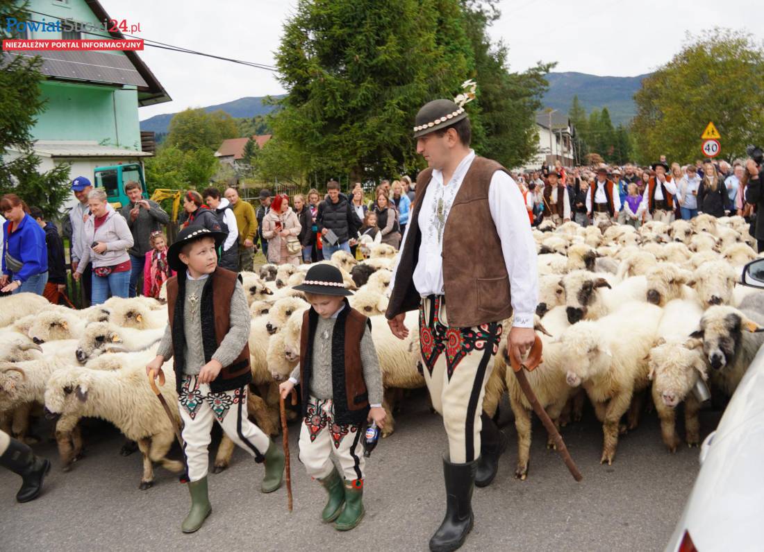 Już wkrótce Babiogórska Jesień 2026. Trzy dni folkloru, muzyki i tradycji pod Babią Górą.