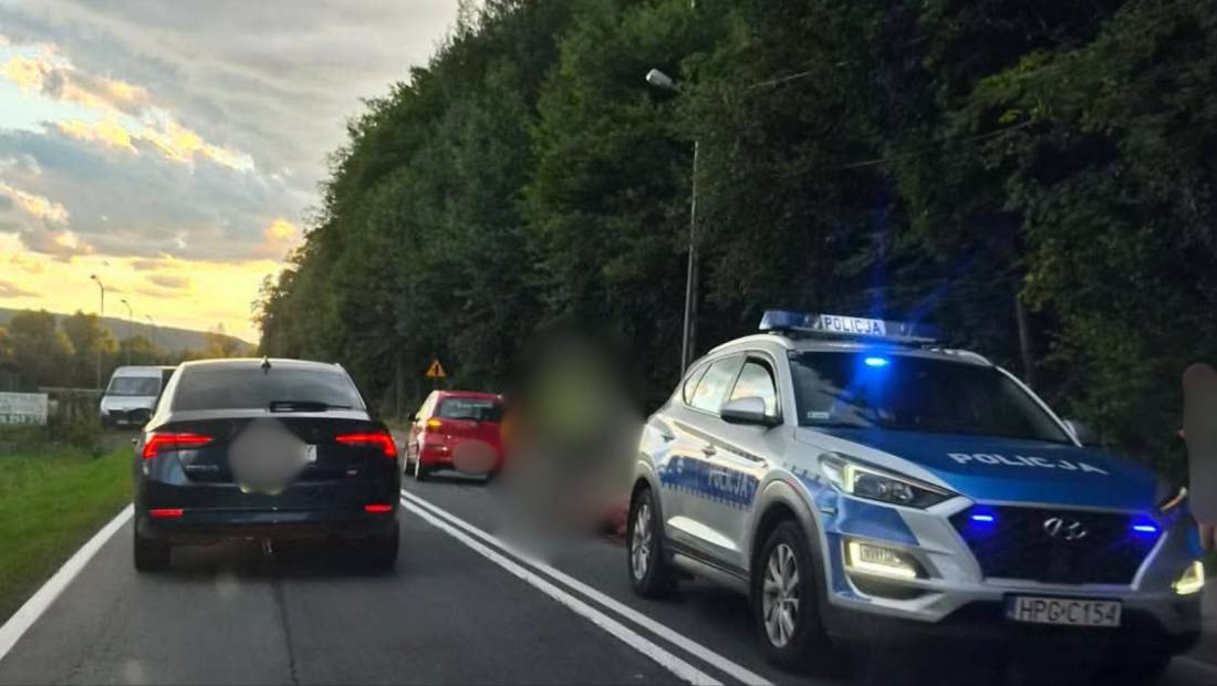 Kolizja z dziką zwierzyną w Budzowie. Utrudnienia w ruchu!