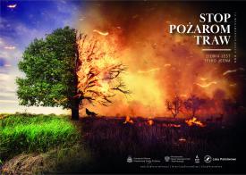 Ruszyła kampania „Stop Pożarom Traw”. Strażacy apelują o rozsądek.