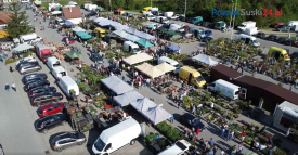 Targi Kwiatowe w Suchej Beskidzkiej już 1 maja - tradycja, która rozkwita co roku.