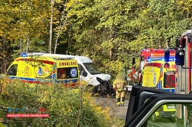 Dwie osoby w szpitalu po wypadku w Stryszawie. Policja podaje szczegóły.