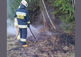 Pożar mrowiska w Bystrej Podhalańskiej.