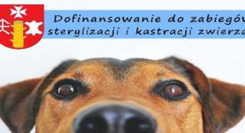 Gmina Zembrzyce: Dofinansowanie do zabiegów sterylizacji i kastracji zwierząt