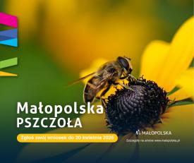 Pół miliona dla natury! Rusza ‘Małopolska Pszczoła 2026’ 