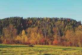 Maków Podhalański stracił rekord najwyższej listopadowej temperatury