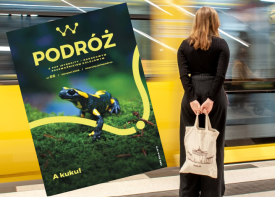 Od Małego Wawelu po haft makowski. Nasz powiat jedzie w Polskę!