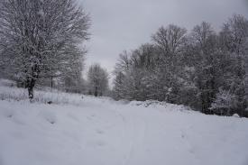 Ostrzeżenie meteorologiczne dla powiatu suskiego - spodziewane opady śniegu.