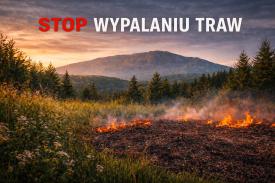 Nie wypalaj traw! Urząd Gminy Zawoja apeluje o rozsądek.