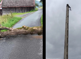 Grzechynia: powalone drzewo blokuje drogę. Zerwana linia telefoniczna.