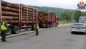 Policjanci zatrzymali ciężarówkę przeładowaną o 14 ton