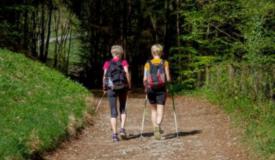 Chodź z nami! Bezpłatne zajęcia prowadzone przez profesjonalnego instruktora Polskiego Stowarzyszenia Nordic Walking