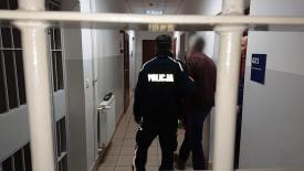 Zatrzymano 71-letniego mężczyznę, który wkręcał śruby w korzenie drzew