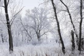 Silny mróz w powiecie suskim i okolicach. Wydano ostrzeżenie meteorologiczne!