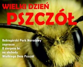 Dzień pszczół w Babiogórskim Parku Narodowym