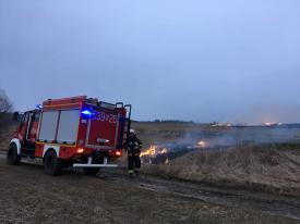 Pamiętajmy! Wypalanie traw jest karalne