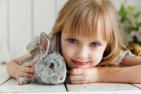 Klatki dla królików – co warto o nich wiedzieć? Sprawdź, jak wybrać najlepszą!