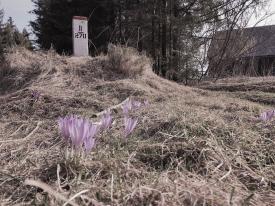 Turysto – pamiętaj o obowiązujących przepisach!