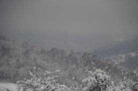 Będzie biało i ślisko. Ostrzeżenie meteorologiczne dla regionu.
