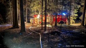 Interwencja straży pożarnej w lesie w Bieńkówce.