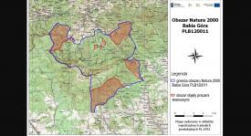 Informacja o planowanej inwentaryzacji ptaków w obrębie obszaru Natura 2000 Babia Góra 