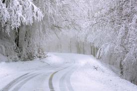 Pilne! Aż trzy ostrzeżenia meteorologiczne dla powiatu suskiego. 