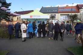 Odbierz sadzonkę drzewa i zasadź ją dla klimatu. 