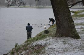 Babiogórski Park Narodowy apeluje o niedokarmianie zwierząt. 