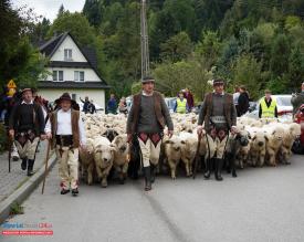 42. Babiogórska Jesień z dofinansowaniem Ministerstwa Kultury i Dziedzictwa Narodowego.