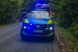 Zdarzenie z udziałem motocyklisty w Sidzinie. Wezwano śmigłowiec LPR.