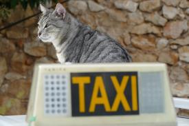 Jakie usługi dodatkowe świadczą nowoczesne firmy taxi w Krakowie?