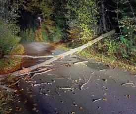 Wieczorna interwencja strażaków w Żarnówce. 