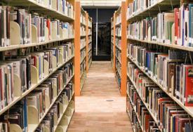 Dzień Bibliotekarza i Bibliotek. Święto miejsc pełnych wiedzy i inspiracji.