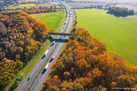 Jesień na drogach – zadbaj o bezpieczeństwo!