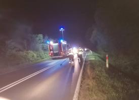 Kolejne zderzenie z dziką zwierzyną na DK28 w Zembrzycach – utrudnienia w ruchu.