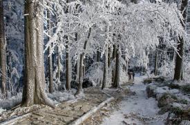 Meteorolodzy ostrzegają przed zamieciami śnieżnymi