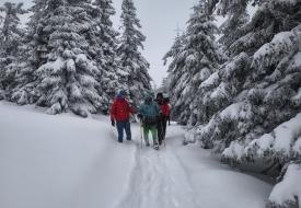 Wspólna akcja ratunkowa pod Babią Górą. Słowaccy i polscy ratownicy pomogli turyście.