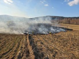 Pożar traw w Bystrej Podhalańskiej. Strażacy przypominają o zakazie wypalania!
