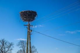 Sprawdź, gdzie zabraknie prądu w tym tygodniu.