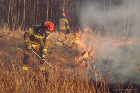 Surowsze kary za wypalanie traw już obowiązują. Koniec pobłażania.