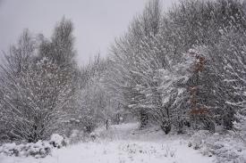 Będzie ślisko! Śnieg i gołoledź. IMGW wydało ostrzeżenia.