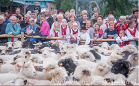 Zapraszamy na Babiogórską Jesień