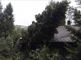 Drzewo przewróciło się na budynek mieszkalny w Zawoi. Zerwane linie energetyczne.