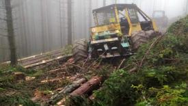 Usunięto powalone drzewa z zółtego szlaku w rejonie Hali Śmietanowej w Zawoi 
