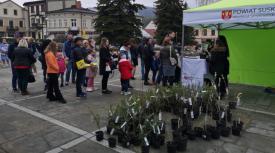 Sucha Beskidzka: Kampania #drzewo_dla_klimatu spotkała się z wielkim odzewem