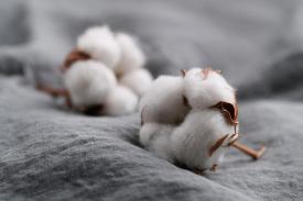 Co charakteryzuje tkaniny bawełniane? Sprawdzamy!