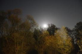 Ostrzeżenie meteorologiczne dla powiatu suskiego i okolic. Gęsta mgła może ograniczyć widzialność!