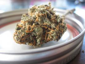 Czy możesz posiadać 5 g marihuany na własny użytek? Sprawdź!