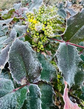 Ostrzeżenie meteorologiczne dla powiatu suskiego i okolic. 