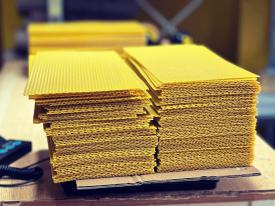 Co jest kluczowe w pracy pszczelarza? Znaczenie węzy w nowoczesnej pasiece.