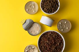 Jedna karma, kilka smaków – jak zaprojektować serię etykiet bez pomyłek produkcyjnych?